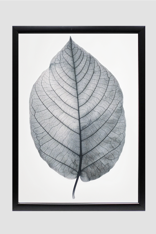 Minimalist Leaf